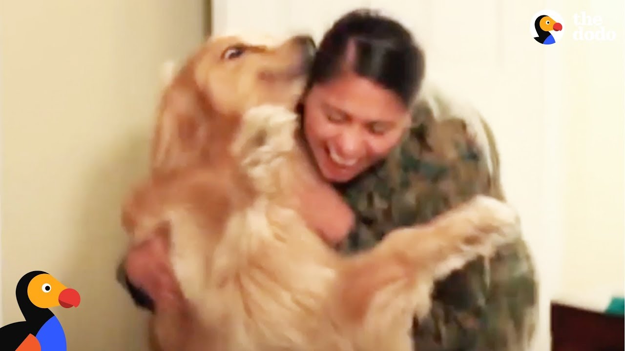 ⁣Dog Goes Crazy Every Time Marine Mom Comes Home - OSHIE | The Dodo