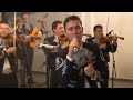 MARIACHI NUEVO TECALITLÁN / SI NOS DEJAN