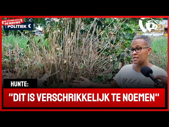 🚀 De Nieuwe Politiek Live • Boomskreek meer dan 10 jaren niet opgehaald (Suriname)