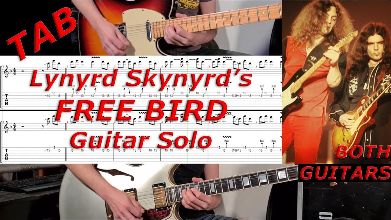 FREE BIRD (LYNYRD SKYNYRD) Guitar Solo - TRANSCRIBED