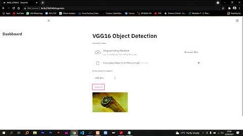 [Deep Learning] - VGG16 Streamlit App for Object Detection from Video