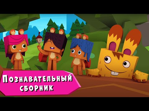ЙОКО | Познавательный сборник | Мультфильмы для детей