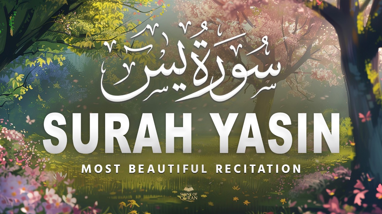 Surah Yaseen سورة يس | Calming Lofi Quran Recitation for Night Peace & Relaxation #quranforsleep