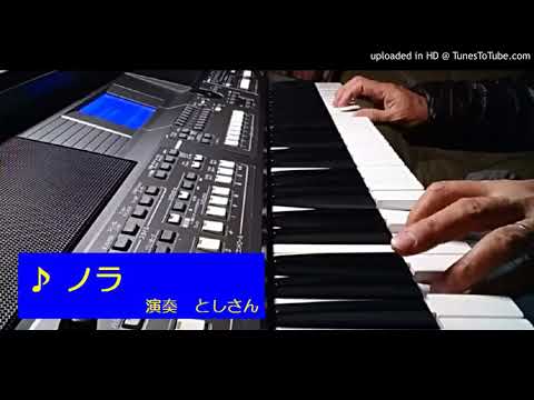 ノラ