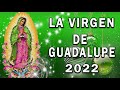 Cántos a la virgen de Guadalup - La Virgen De Guadalupe 2022 - Los Berrenditos Cantos y Alabanzas