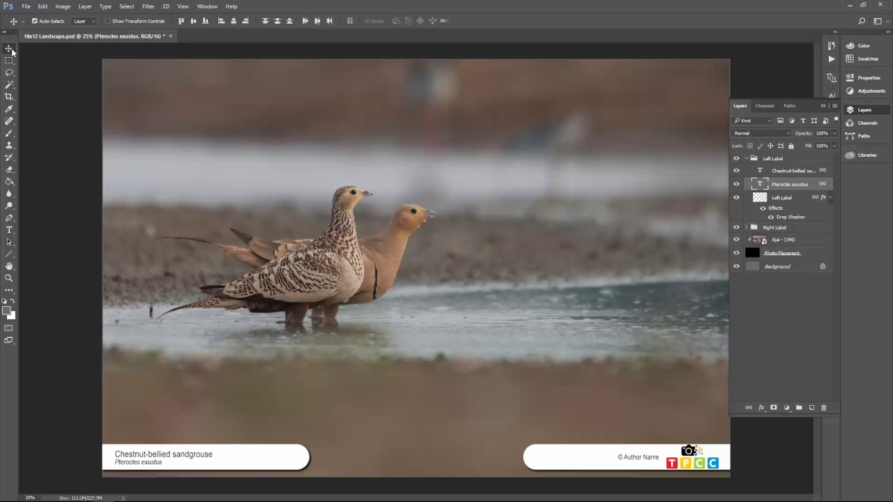 TPCC WPD 2017   18x12 template merge