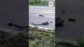 Sudar BMW-a i motocikla kod Prijedorske petlje u Banjaluci Sudar BMW-a i motocikla kod Prijedorske petlje u Banjaluci