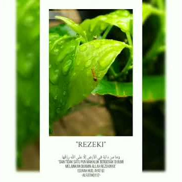 Download lagu BERSYUKURLAU ATAS SEMUA REZEKI YANG ALLAH BERIKAN