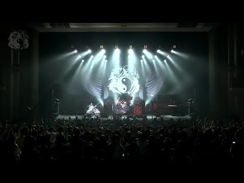 「鳳翼天翔」（Live DVD『絶界演舞』Official Preview）
