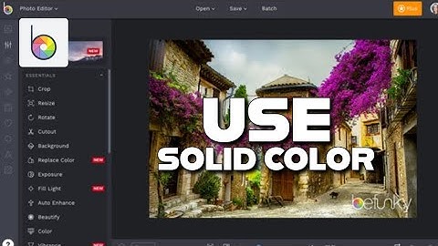 How to Use Solid Color in Befunky 2025?