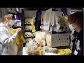 【実写】俺とぷりちゃんのやられね星人グッズが店舗に置かれてやられまくってる件について