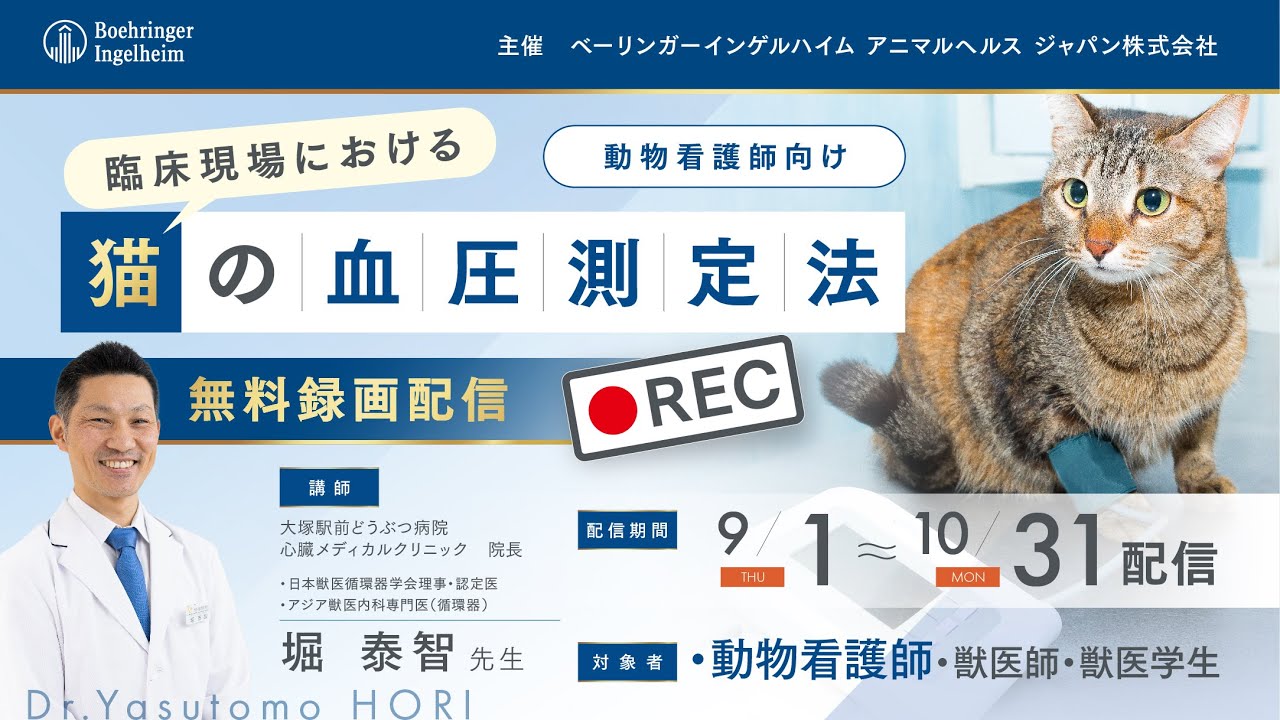 獣医・小動物「臨床で生かす！循環器疾患におけるX線・血圧・心電図
