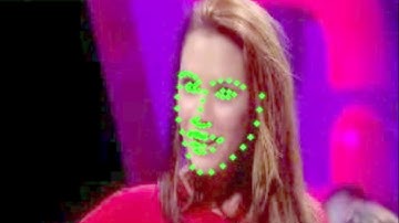 LBF Face alignment / Examples of failures