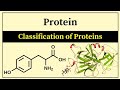 Classification of Proteins/simple explanation/#science#biology#neet #medstudent