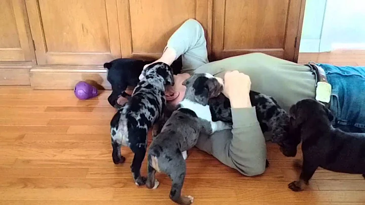 Conrad Trying To Nap