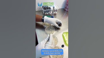 Kirby Bauer method for Antibiotic Susceptibility Testing | At Unittas Multispeciality Hospital