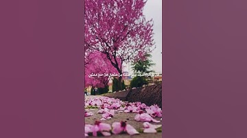 القارئ هزاع البلوشي🎧🥺راحه نفسيه حالات واتس تلاوه خاشعه مؤثره 𝙌𝙪𝙧𝙖𝙣 𝙎𝙩𝙖𝙩𝙪𝙨❤