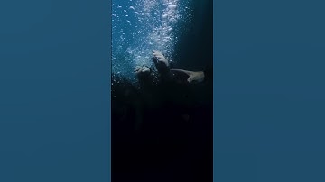 “HIT ME HARD AND SOFT” THE ALBUM, OUT MAY 17TH