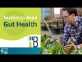 Raw Food vs. Cooked Food | Gut Health Q&A with Dr. Will Bulsiewicz