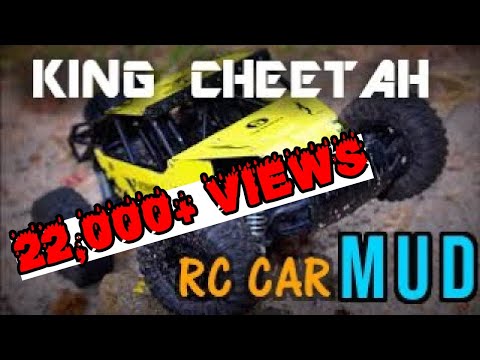 The King Cheetah High Speed Rc Car In Mud Youtube