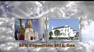 Exposition of the Sacred Relics of St. Francis Xavier, Goa 2014 - Part 2