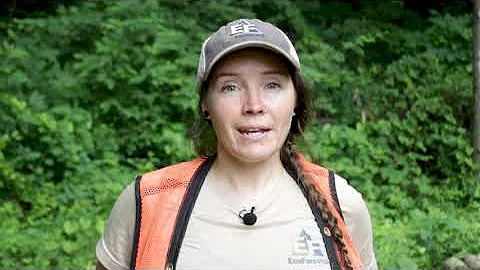 Non-Native Invasive Species in Appalachian Forests