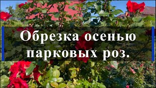 картинка: Обрезка осенью парковых роз.