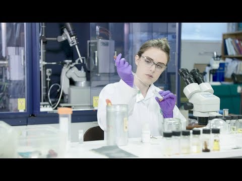 Why postgraduate research at the University of Liverpool?