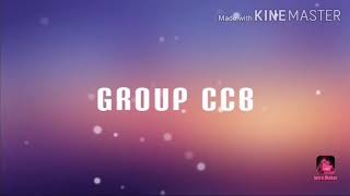 Group CCB - Training Module Activity (The Wheel of Life)