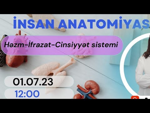 Anatomiya-3(Sual Cavab)