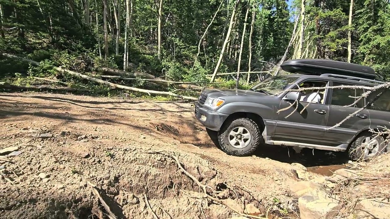 I almost removed my rear bumper on the trail.
