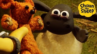 Shaun the Sheep  Timmy & Friend's Secret Hideout  Full Episodes Compilation [1 hour]