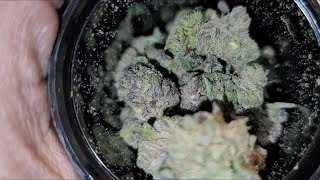 Christmas Dispensary Weed Haul!!!! (Denver 2021)