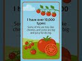 interesting facts of tomato