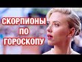 ЗНАМЕНИТОСТИ СКОРПИОНЫ ПО ГОРОСКОПУ