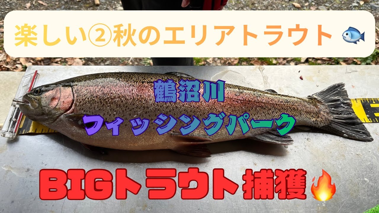 釣り　川　湖沼 It's Gomoku fishing! Enjoy fishing in that popular waterway with