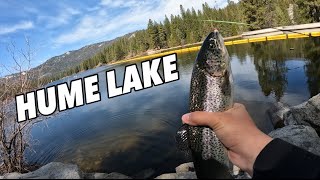 Hume Lake, CA Trout Fishing!! | Tons of Stocked Trout |