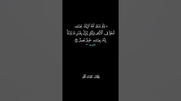 وهو الذي يقبل التوبة عن عباده ويعفو عن السيئات ويعلم ما تفعلون ۞ سورة الشورى ۞ الحصري