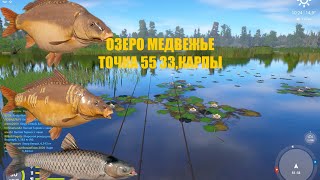 Русская Рыбалка 4 озеро Медвежье Карп на большие бойлы Russian Fishing 4 