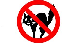 ▶️ How To Get Rid Of Cats. Ultrasonic Cat Deterrent. Cat Ultrasonic Repellent. 12 Hours. 🌏 screenshot 4