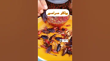 اغرب اكل الصراصير طبخ الغداء مأكولات مطبخ 