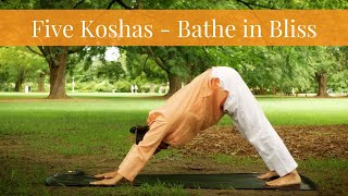 Yoga Practice to Expand Awareness | Panchkosha (5 Kosha) | Create Harmony Within screenshot 5