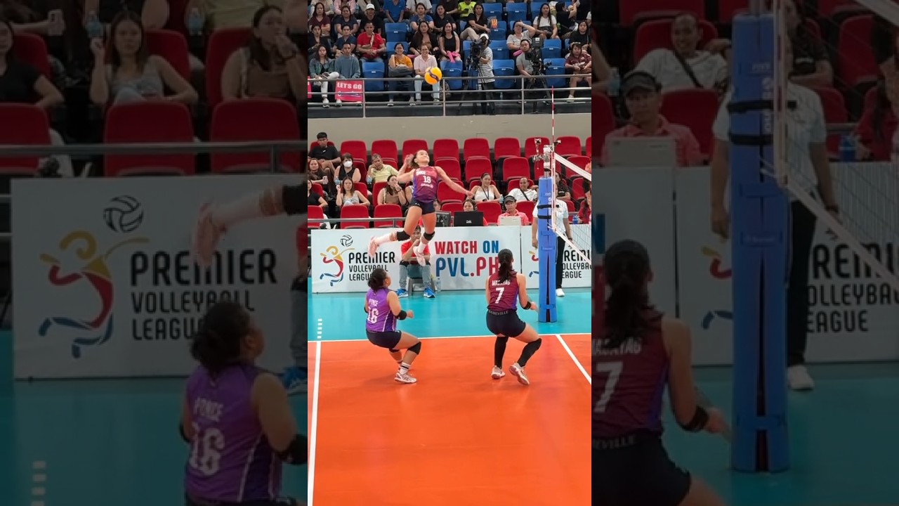 LIPAD DARNA SISI RONDINA 