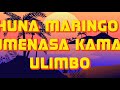 Domokaya Feat Lady Jaydee Like You Official Lyrics 