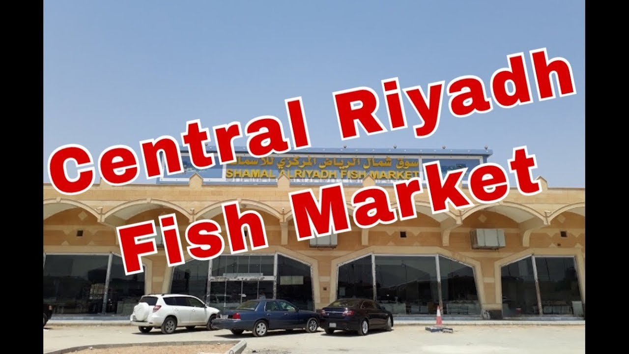 Fish Market In North of Riyadh Central YouTube