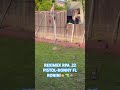 REXIMEX RPA .22 PISTOL-DONNY FL RONIN SILENCER!🤠🔫🇺🇸