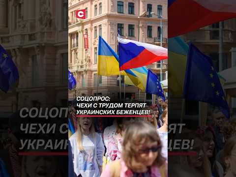 Соцопрос: Чехи с трудом терпят украинских беженцев! #украина #чехия #мигранты #беженцы #политика