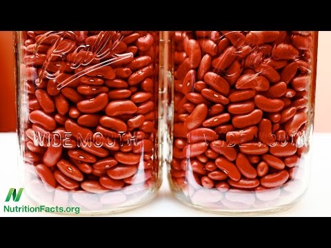 Which Type of Protein is Better for Our Kidneys?