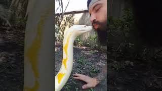 Famous How can you love a 20ft long snake that just wants to eat you? Profile