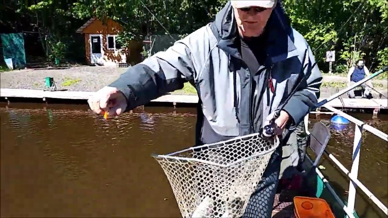 Клевым местам видео. Рыбалка клёвое место Лосиный остров. Клевое место гостиница Лосиный остров. Платная рыбалка Лосиный остров. Клёвое место Лосиный остров отель.